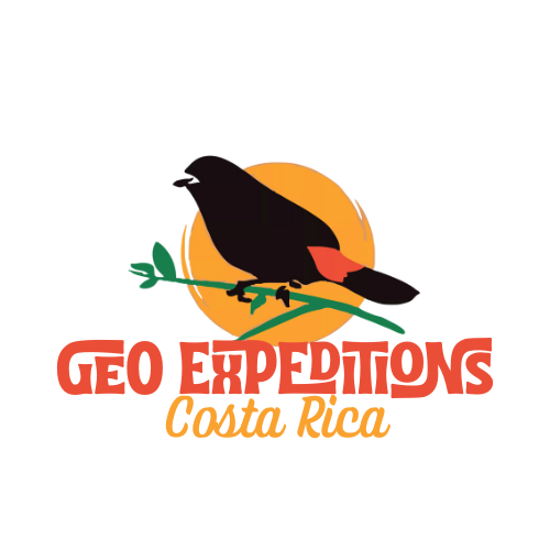 Geo Expeditions